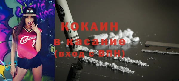 гашик Арсеньев