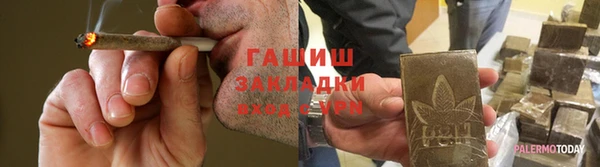 гидра Алексин