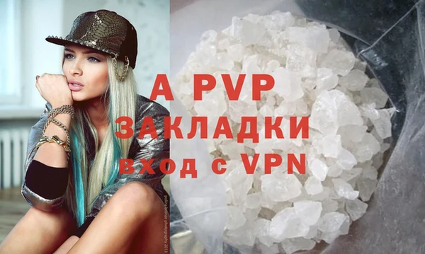 гашик Арсеньев