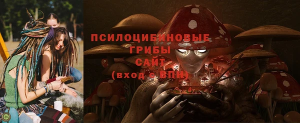 гидра Алексин